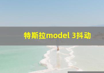 特斯拉model 3抖动